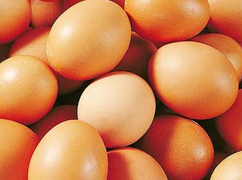 鸡蛋中有较丰富的铁可维护皮肤美